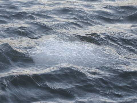 ice floating beneath the river