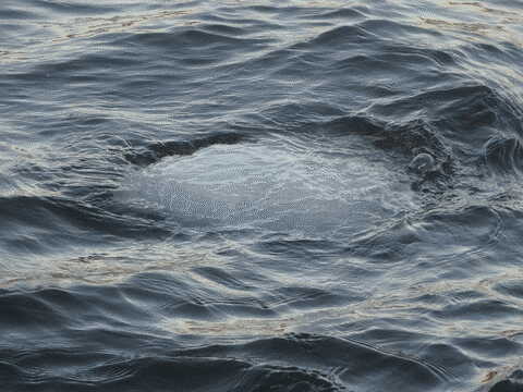 ice floating beneath the river